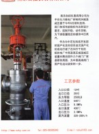 單座閥 _籠式閥_ 低噪音閥 _高壓閥 _偏心旋轉(zhuǎn)閥_蝶閥 _球閥 _V型球閥_減溫減