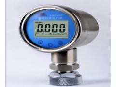創(chuàng)威科技 廠價直銷精密數(shù)字壓力表