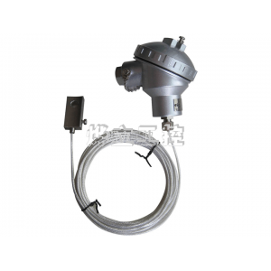 WZP外貼式溫度變送器