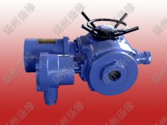 多回轉電動執行器DZW10 DZW20 DZW30