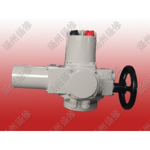 部分回轉電動執(zhí)行器DQW90 DQW120 DQW200