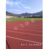 江西省新余市塑膠跑道|塑膠跑道廠家價格|塑膠跑道材料