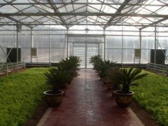 qiy，連棟薄膜溫室大棚建造商，山東