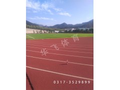 江西省宜春市塑膠跑道|塑膠跑道廠家
