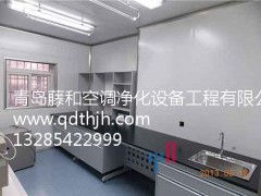 藤和凈化供應專業的青島潔凈廠房施