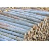 劃算的福建建筑方木-福建哪里有供應熱銷桉樹木料