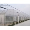 高性價(jià)薄膜溫室推薦|山西溫室蔬菜大棚