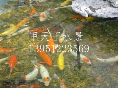 無錫市錦鯉魚池過濾公司！鴻瀚環保1