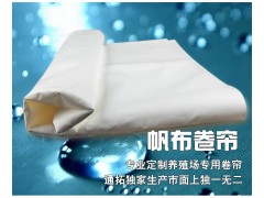 夏天臺風炎熱季節，豬只養殖通拓推