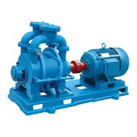 弘凌專業生產真空泵,SK系列水環式真空泵