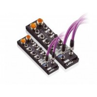 深圳歐利德儀器儀表分布式現場總線系統Lion--S