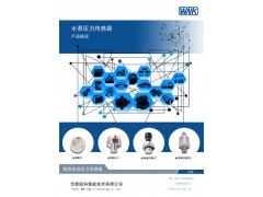合肥皖科智能將參展IOTE 2019深圳物聯網展