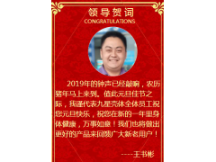 九星殼體總經(jīng)理王書彬新年祝福 2019企業(yè)新年寄語之十三