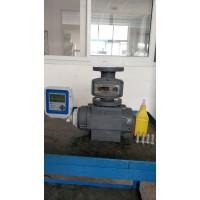 深圳迅爾 腰輪流量計