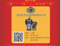 西安市大生自控 總經理  孫雁2020新春寄語 一百零八星報喜之地藏星