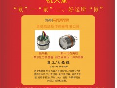 西安森瑟斯傳感器總經(jīng)理  崔衛(wèi)2020新春寄語 一百零八星報喜之地滿星