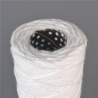 10寸大胖線繞濾芯凈水器濾芯pp濾芯線繞濾芯大藍(lán)瓶內(nèi)置濾芯