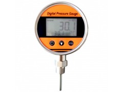 普瑞思電子PTB118數字溫度表 4位大