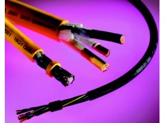 成都艾可斯電氣 供應 產品名稱：機