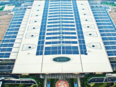 光伏加“樹”度 | 正泰新能源為地球年“植樹”270萬棵