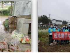 學習雷鋒好榜樣，團員青年獻愛心