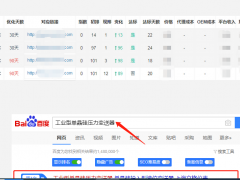 儀器儀表SEO優(yōu)化案例 上海立格儀表