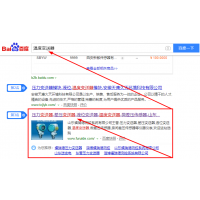 溫度變送器 SEO優化案例