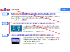 壓力變送器 SEO優化案例