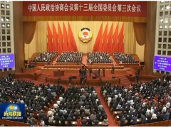 兩會提案：功率半導體將成為“中國芯”的最好突破口