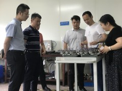 上海市奉賢區金匯鎮鎮長蒞臨上海恩邦參觀考察