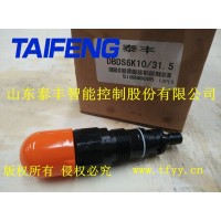 濟寧泰豐直動式溢流閥DBDS10K