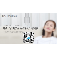 薇伊負離子空氣凈化器品牌負離子發生器價格