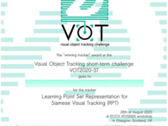 大華股份AI視頻跟蹤算法榮獲VOT2020競賽冠軍