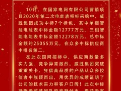 喜報(bào) | 威勝集團(tuán)成功中標(biāo)電網(wǎng)項(xiàng)目超2.5億元！