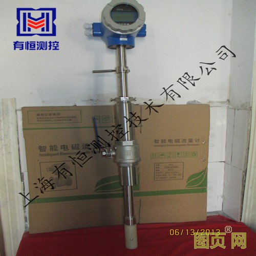 有恒測控一體式插入電磁_副本_副本