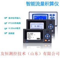 F3000X型流量積算儀