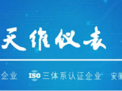 中國環博會閃耀亮相丨天維儀表與您共創萬物智聯時代