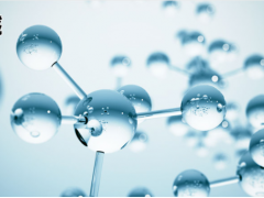 上海儀電科學(xué)儀器總酸及氨基態(tài)氮的全自動批量化測定