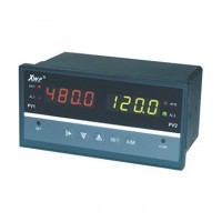 溫州新樂儀器儀表_XWP-D823系列智能雙回路