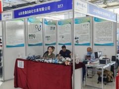 直擊現場丨麥森自動化攜熱電偶、熱電阻、鎧裝加熱器系列彩亮相淄博石油化工展