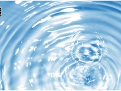 上海儀電科學(xué)儀器ZDY-504型水分測定儀