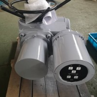 DZW60-24-A00-WK 多回轉(zhuǎn)電動頭