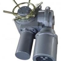 DZW15-24-A00-WK 智能開關(guān)型電動裝置