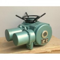 DZW15-24 電動執行機構