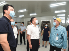 崇川區委副書記 代區長一行調研通富微電汽車電子重點項目并座談