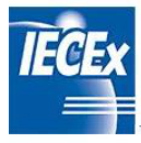 儀器儀表認證標識(二)(圖6) 儀器儀表認證標識(二)(圖6)