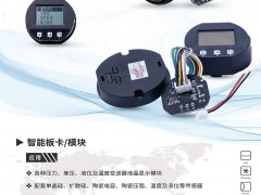 皖科智能攜帶攜帶智能板卡及智能模塊產品入駐《儀表與測量控制》2021年第5期之物聯網及傳感器展特刊