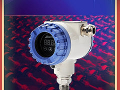 南儀測控技術(shù)（上海）有限公司總經(jīng)理 桂艷華  2022新春寄語