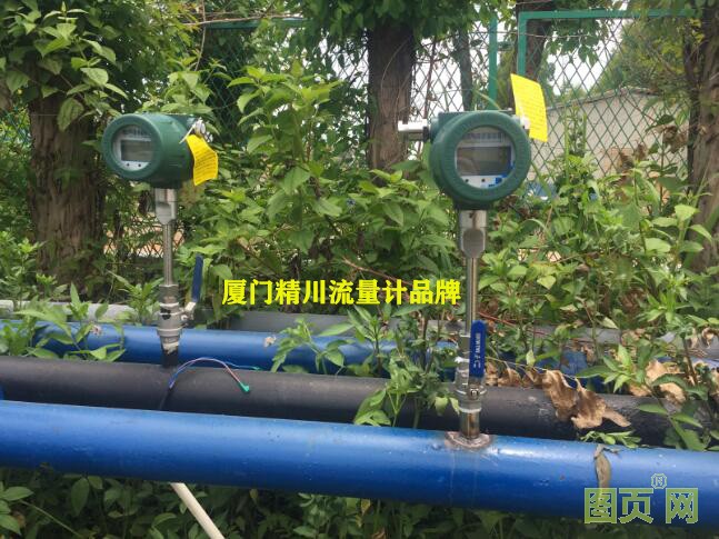 熱式氣體質量流量計