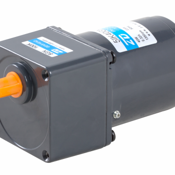 中大力德_感應(yīng)電動(dòng)機(jī)-40W